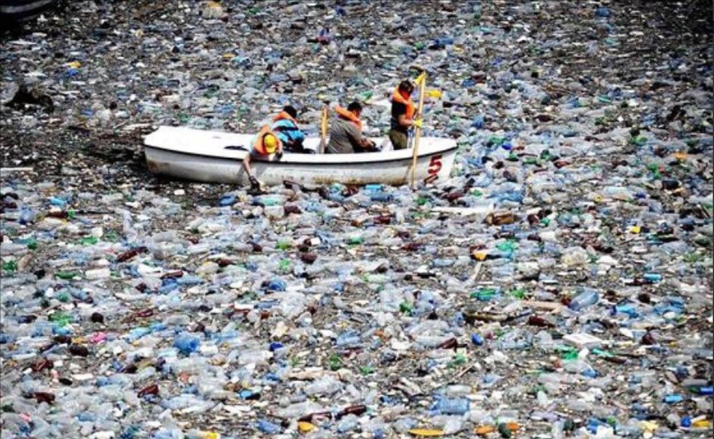 Hallaron microplásticos en la sangre&nbsp;humana
