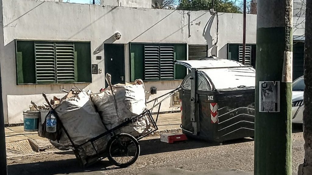 «Por cada tonelada de cartón reciclado salvamos 17&nbsp;árboles»