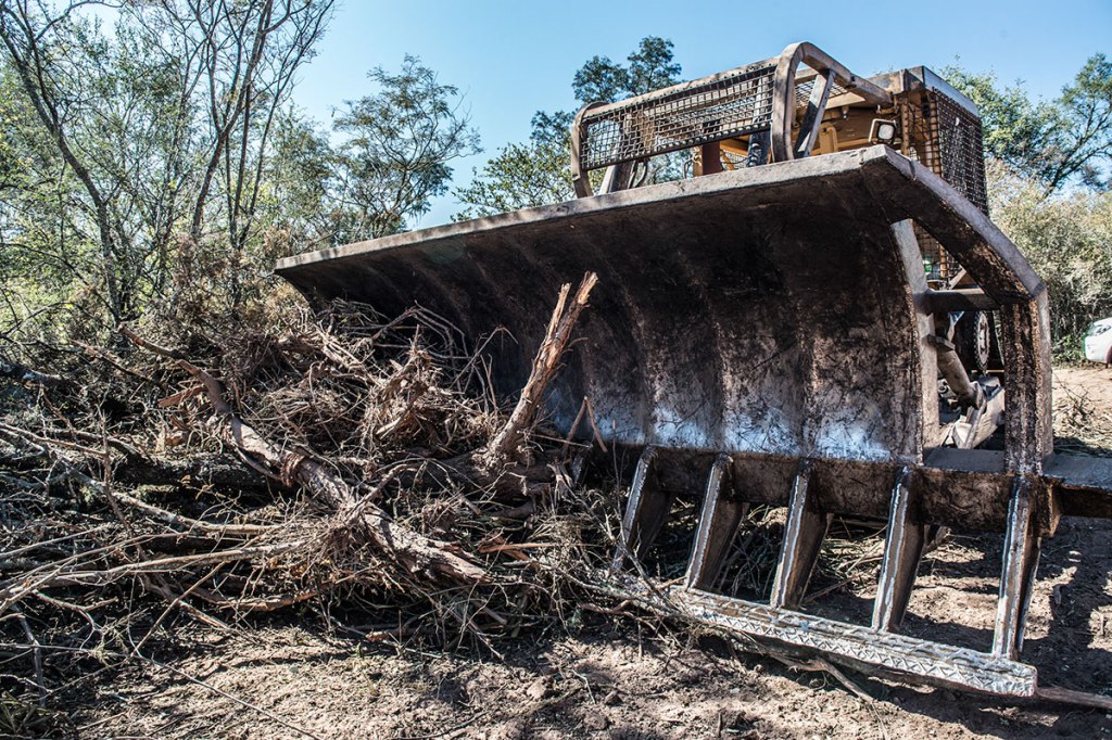 Proponen terminar con la “impunidad” incluyendo al Ecocidio en el Código&nbsp;Penal