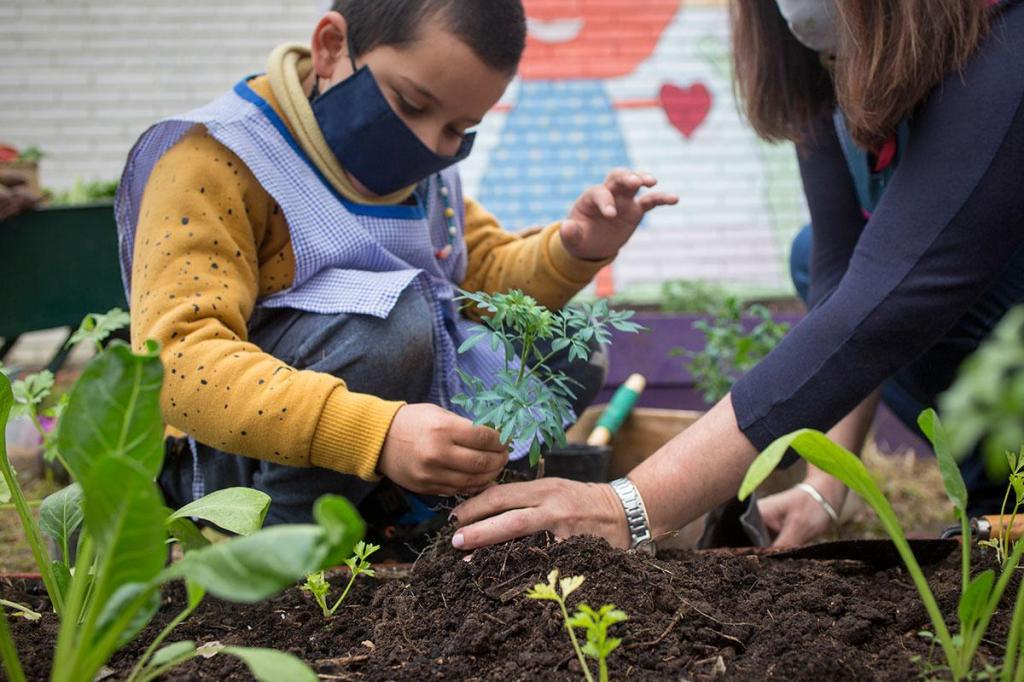 Buscan sancionar la “Ley de Educación Ambiental de la Provincia de San&nbsp;Luis”