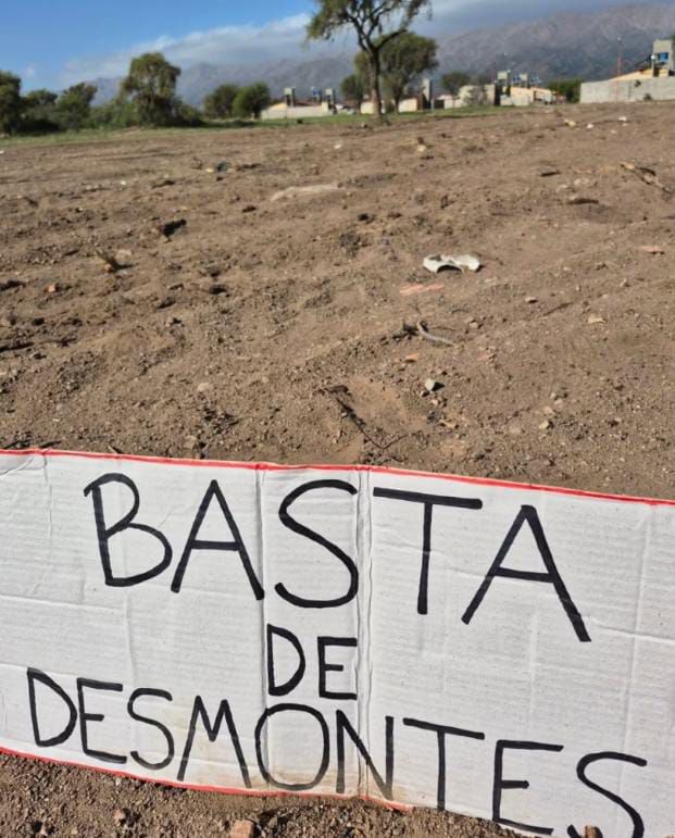 La Defensoría del Pueblo advierte sobre el daño ambiental en La Punta: desmontes irregulares, microbasurales y&nbsp;erosión