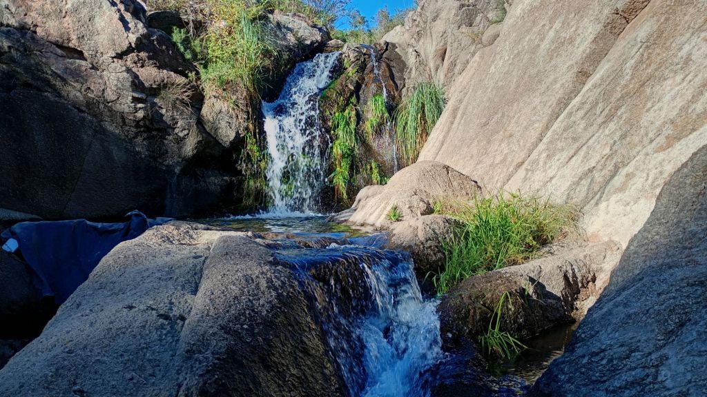 Reforma constitucional: un avance insuficiente en la protección&nbsp;ambiental